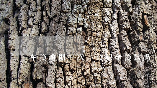 车贷逾期一次 公积金贷款吗 车贷逾期一次 公积金贷款吗